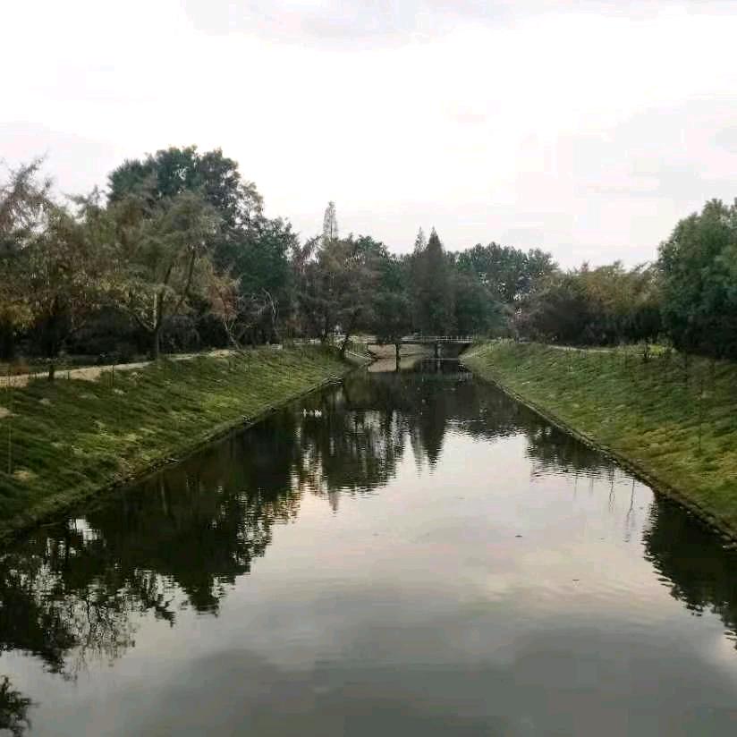 杜志荣