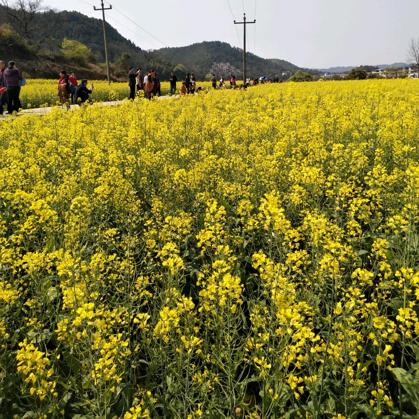 爱过了伤透了！