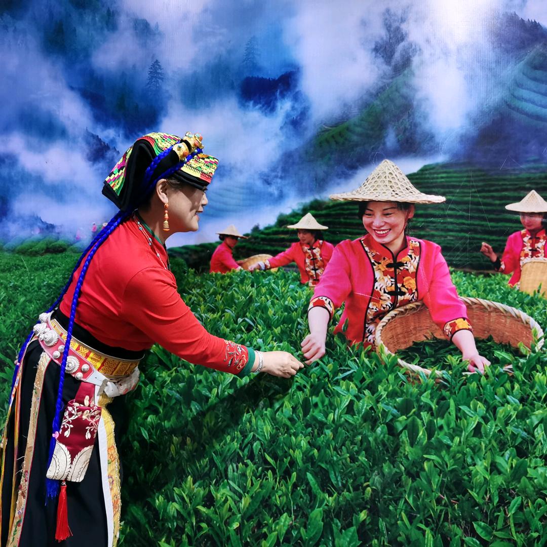 琴深依旧