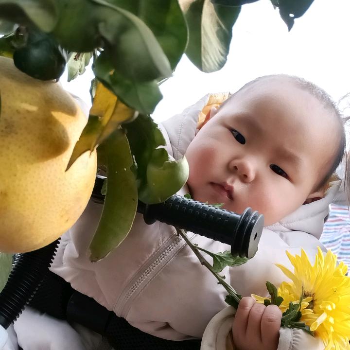 淘气豆