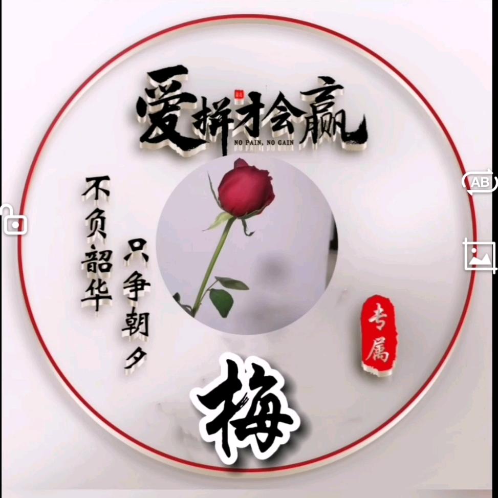 ℘࿐꫞꯭寒梅傲雪💞 ꧔