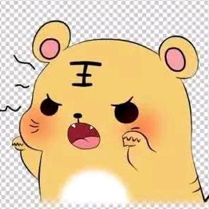威猛小老虎