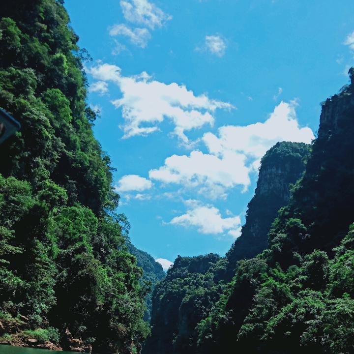 广旅文哥