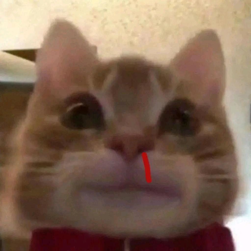 小狗狗要乖乖睡觉