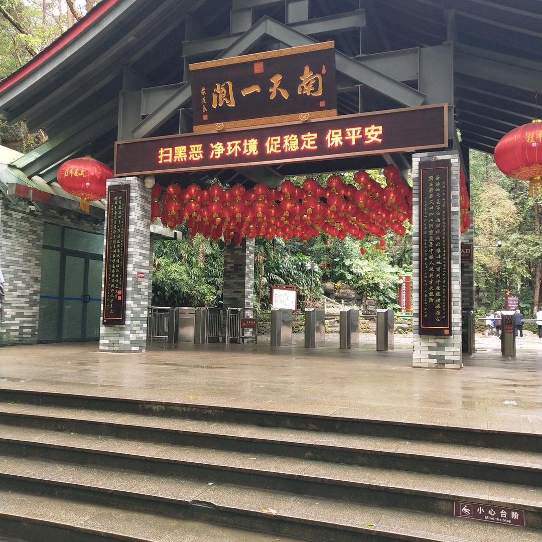 八哥🇨🇳💰🌹🌹🚀🚀