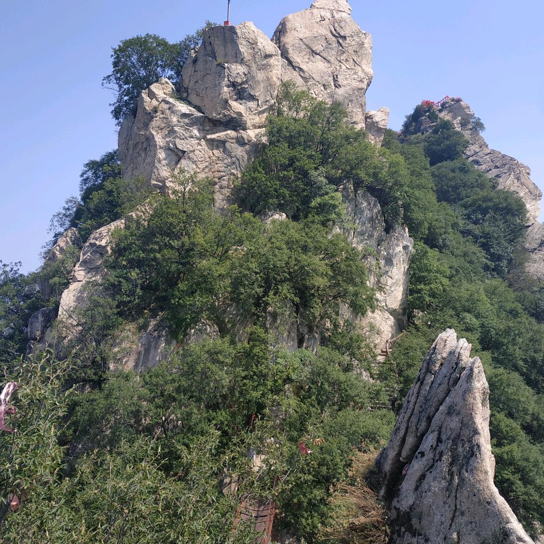 大光明眼镜（只做好眼镜）