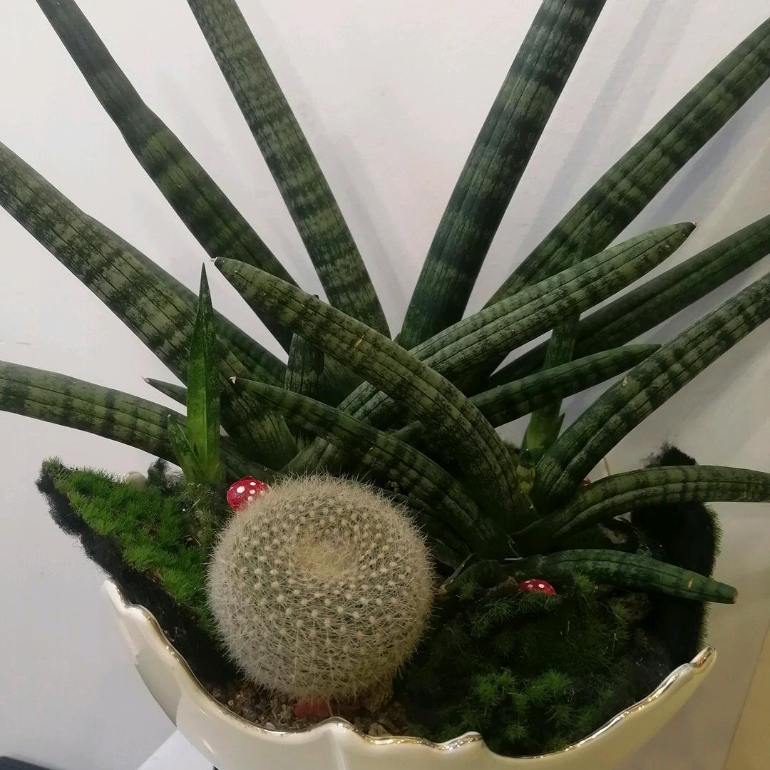 一米阳光
