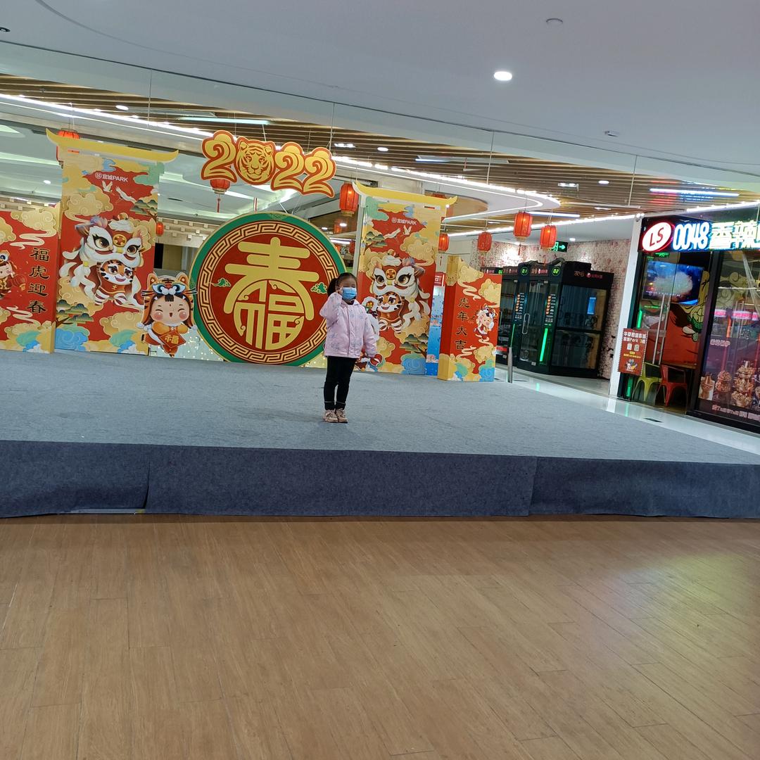 叶子的离去，是风的追求还是树的不挽留！