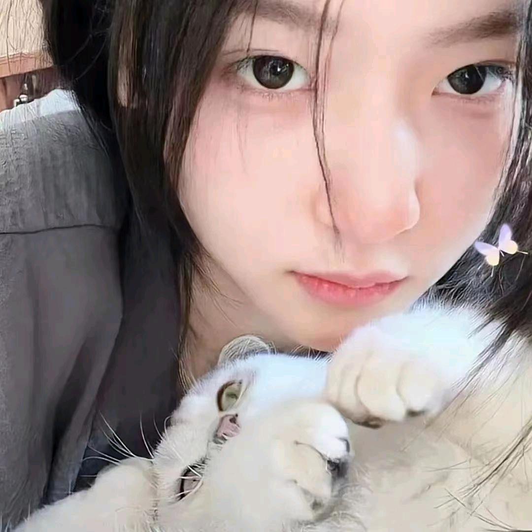 皮皮宝贝手绘