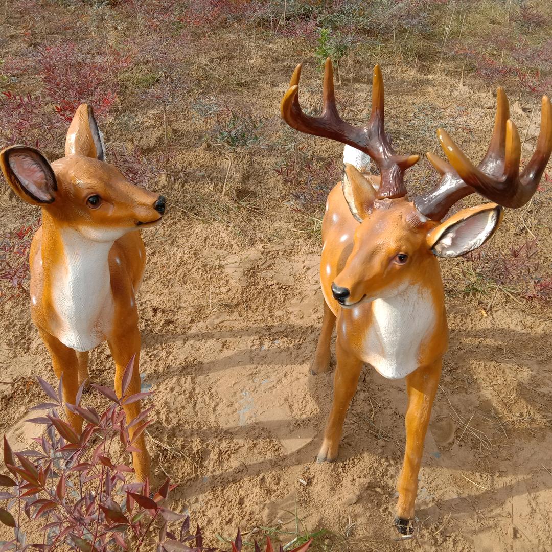 抖音的迷惑《林》