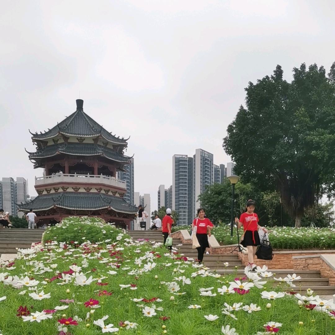 《匆匆过客》随缘……阳光灿烂569520