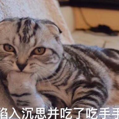 大何
