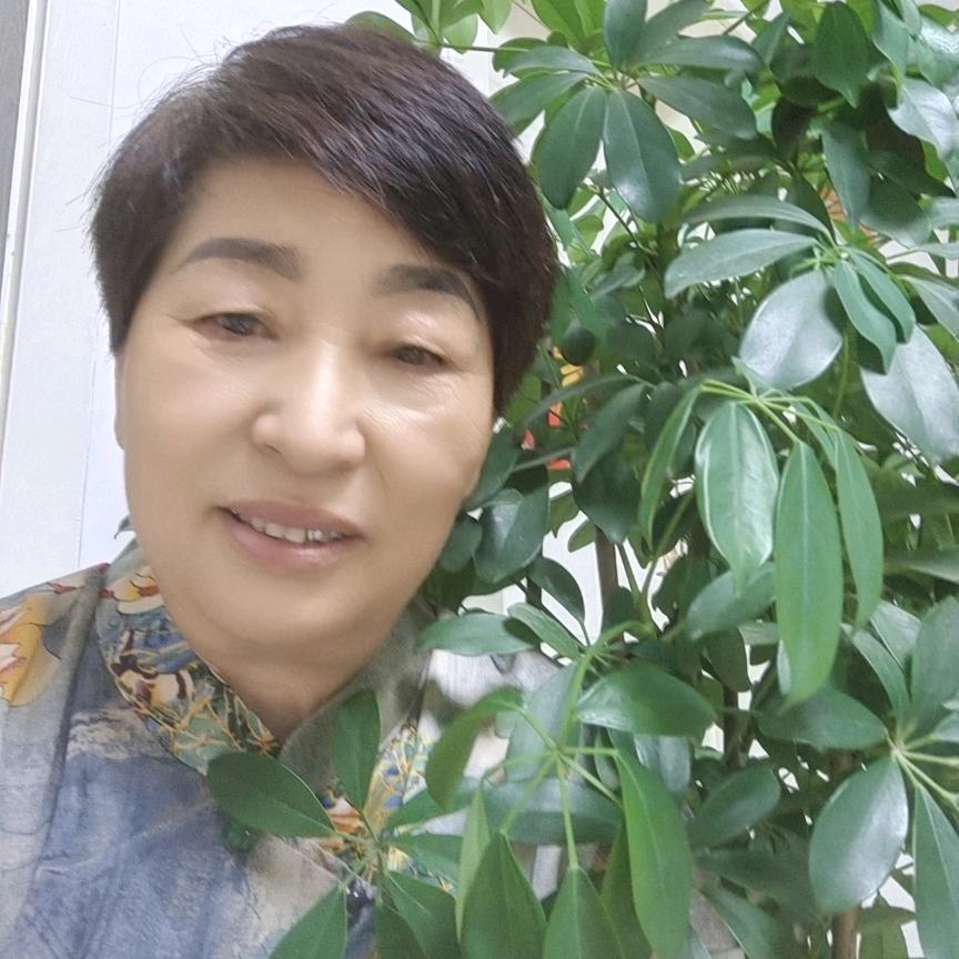 感恩的心大号