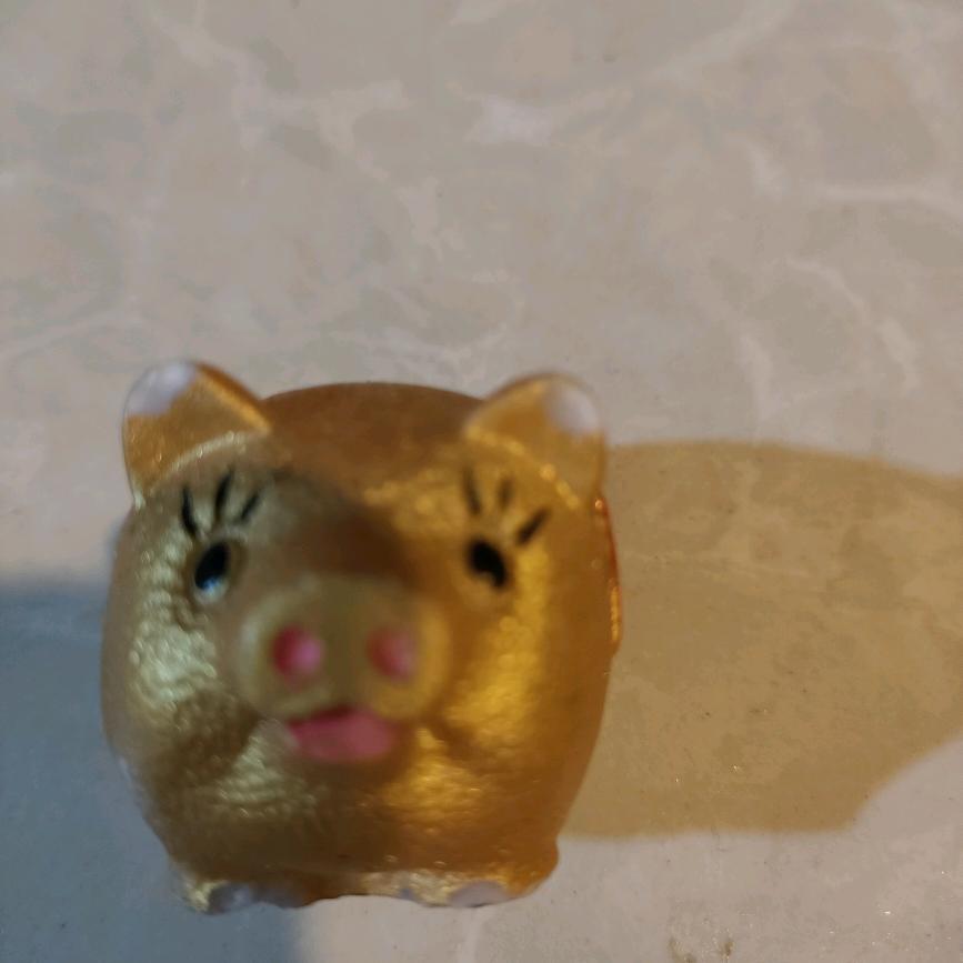 西瓜籽