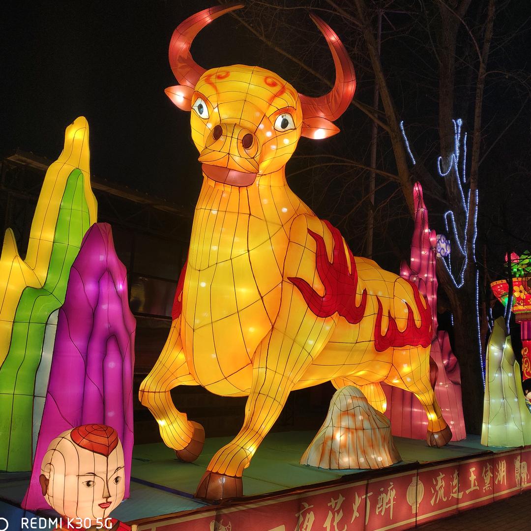 小丸子