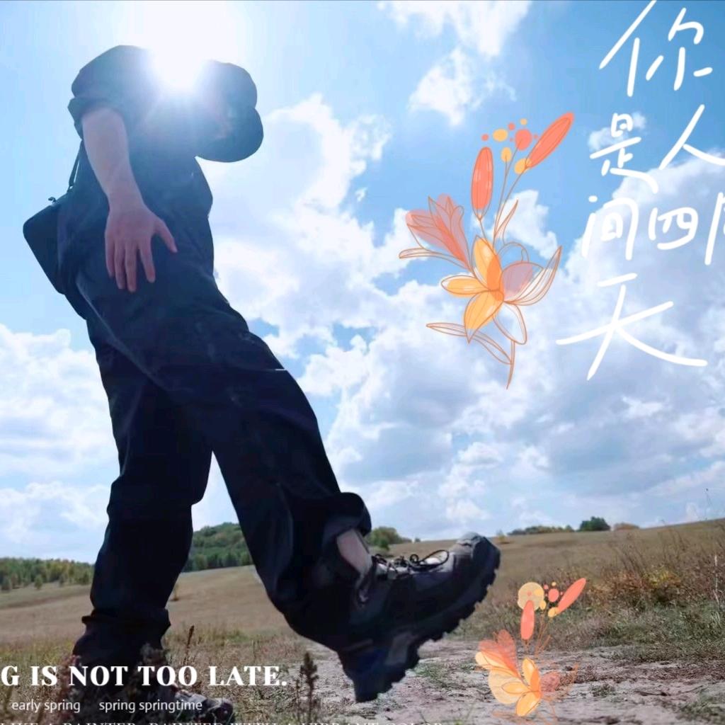 🍃风一样的小熊猫🐻