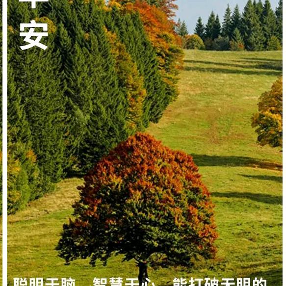绿水清山