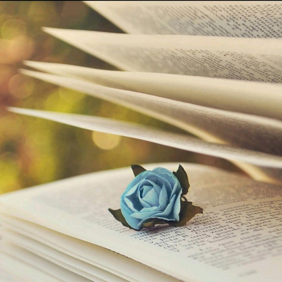 笔墨书香经典阅读（公开裙自曲）