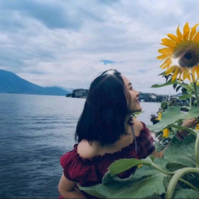 珊睿
