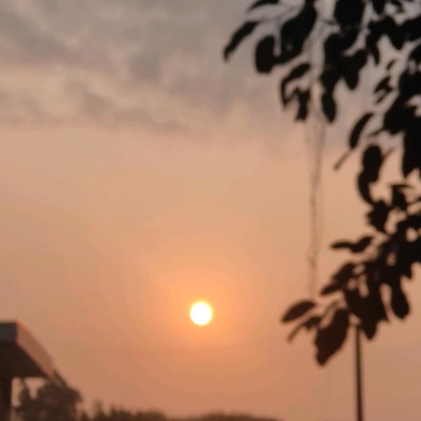 懂事太晚