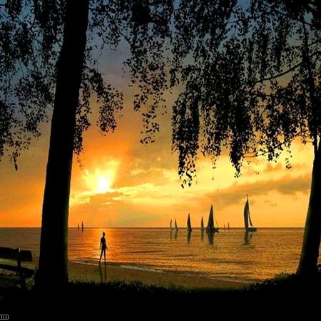 沙漠里的水……崔哥