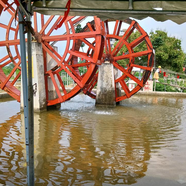 何家&/&大姑娘/&