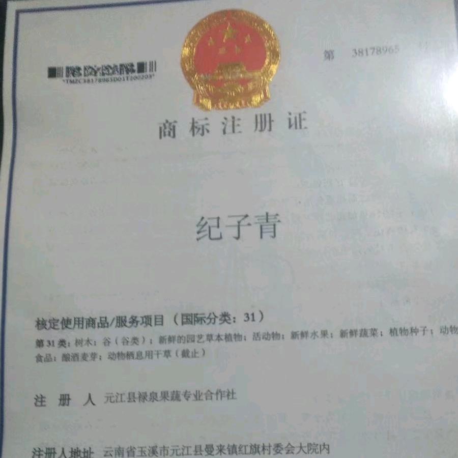 大漠孤狼^0^禄泉果蔬专业合作社