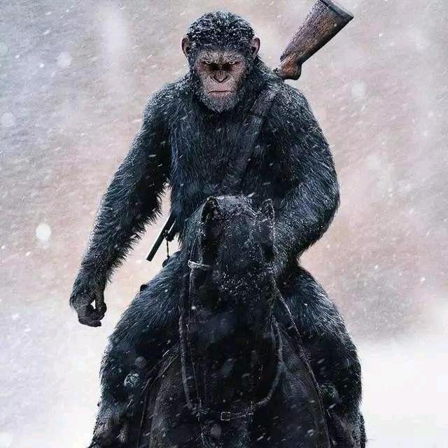 快乐张
