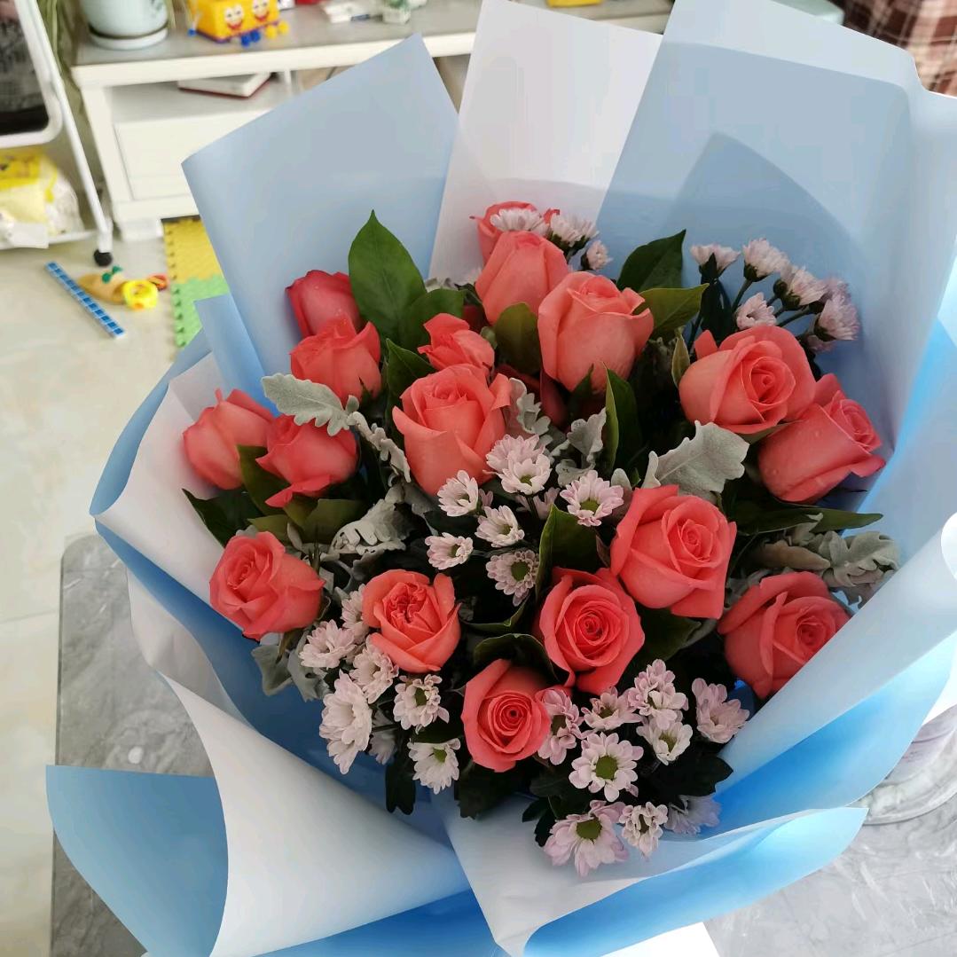 南极以南❄️☃