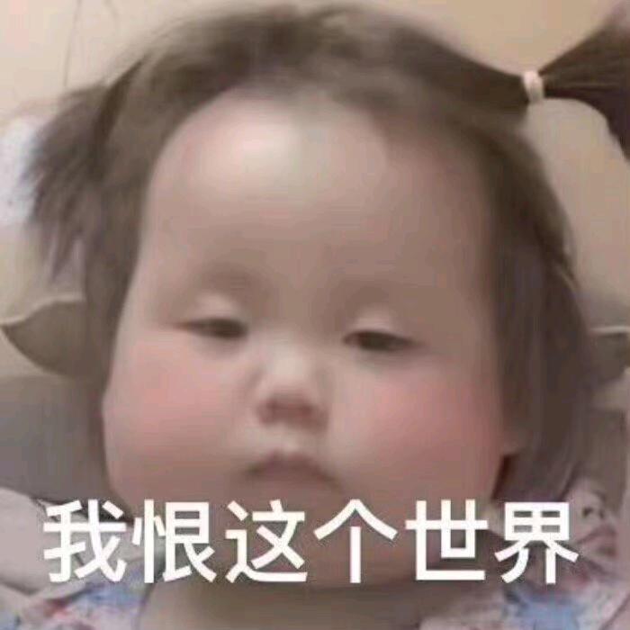 原来原来你是我的🐷达鸽！！