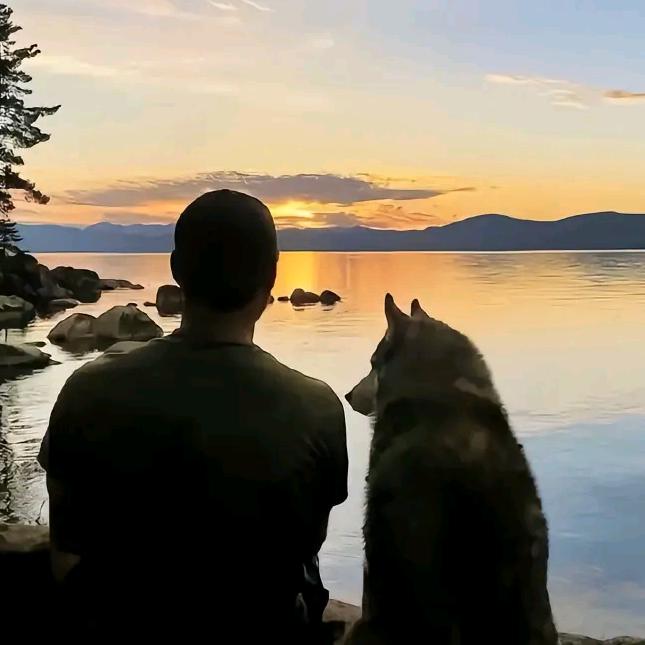 武汉校园人力资源🐵猴子