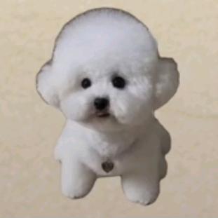 姜老师说生肖