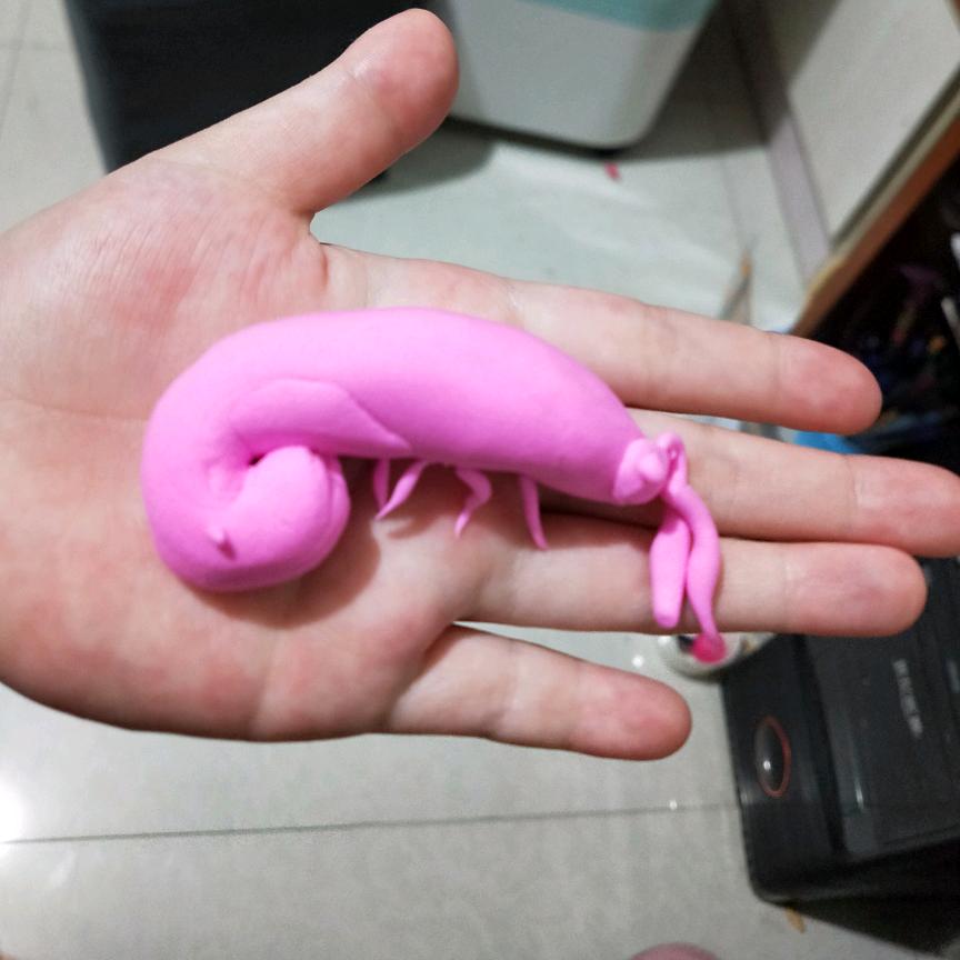 经典电动三轮车配件