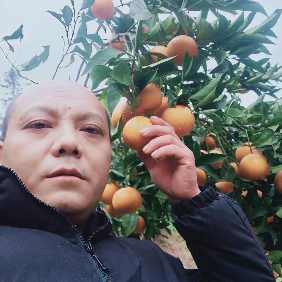 🍊橙子哥