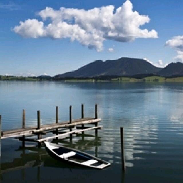 王小二就是青山