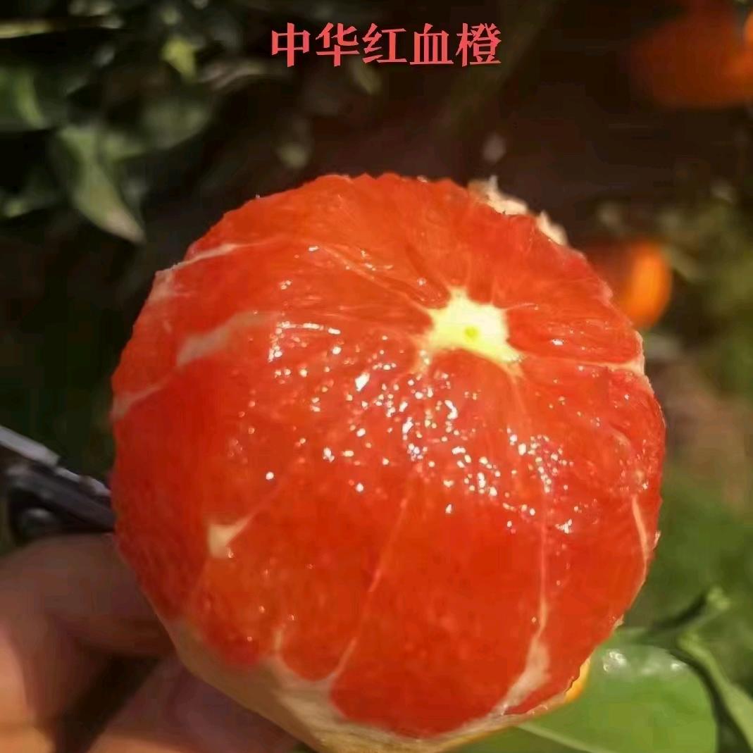 王巧红