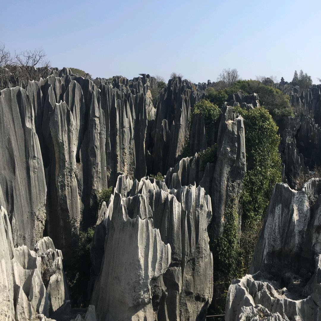 原创温州盒饭👑