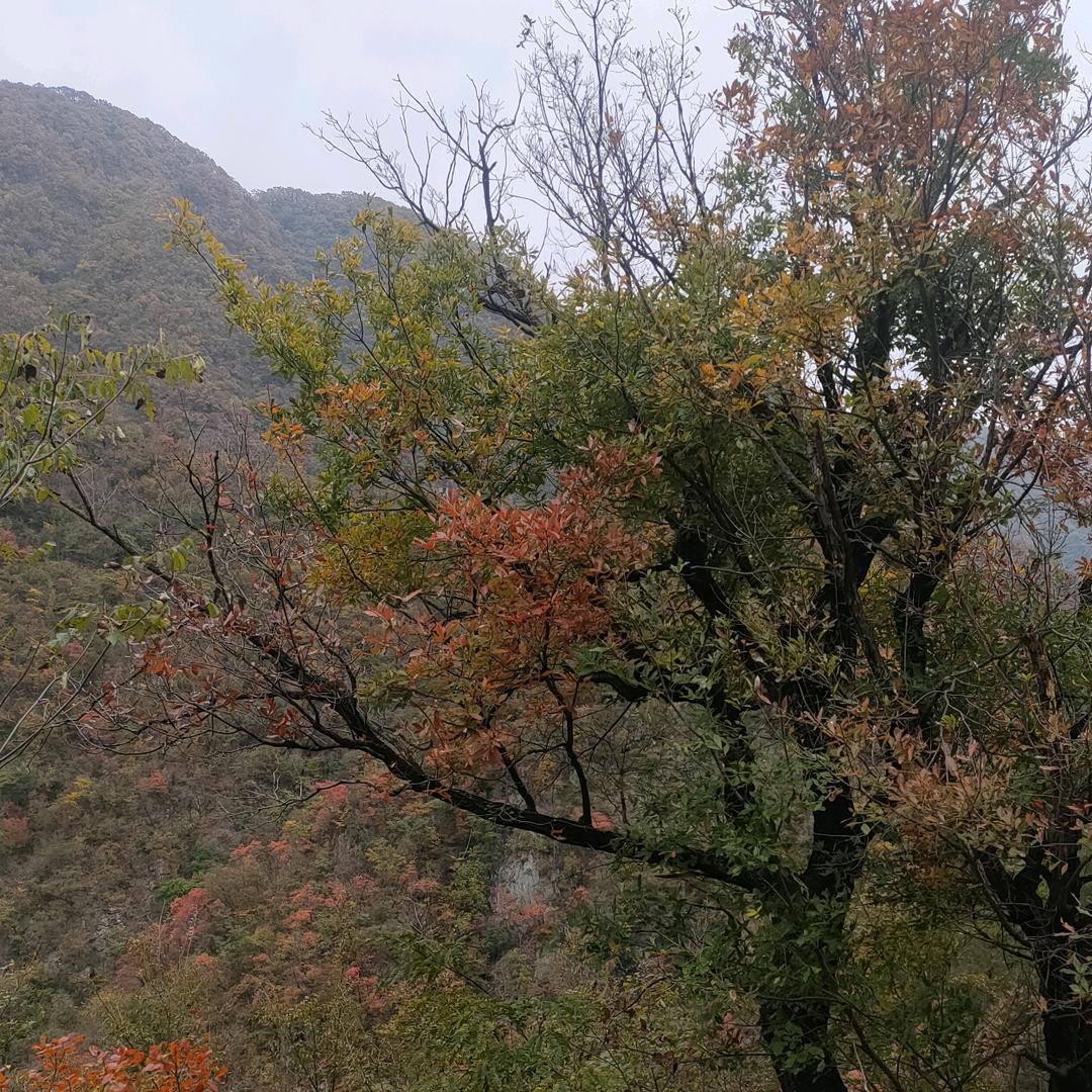 慢慢@