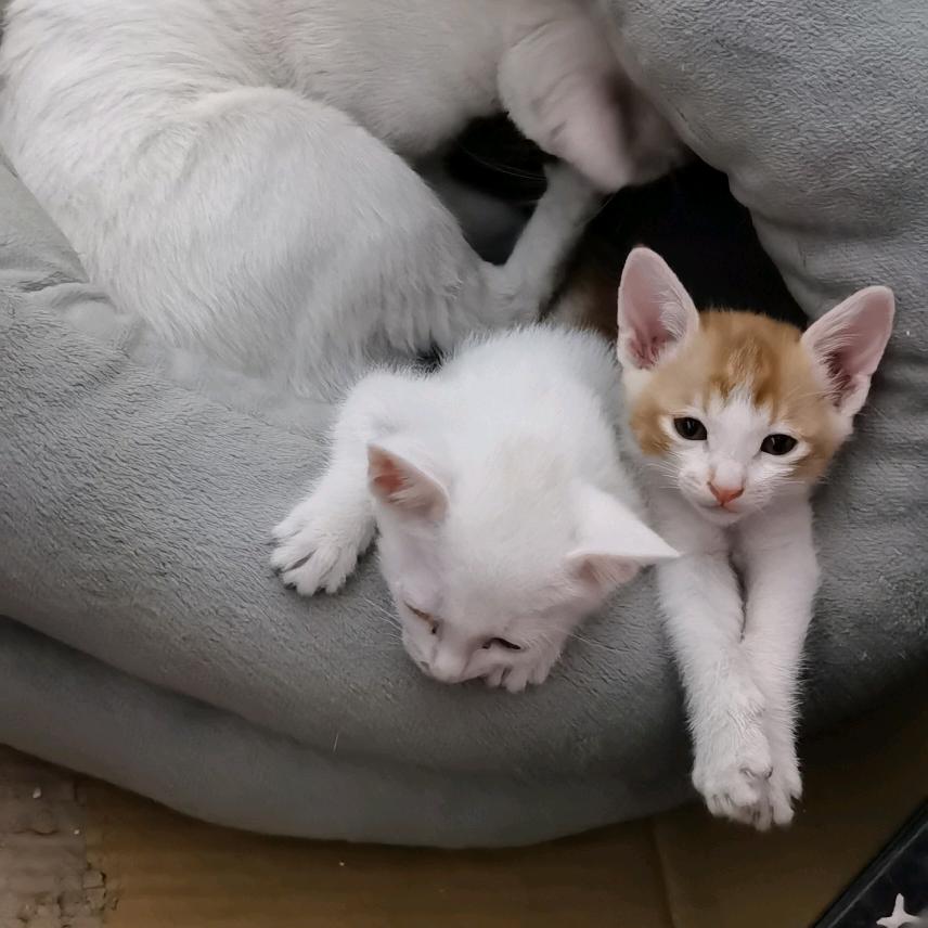 艾克斯歪痞🙀👻😽