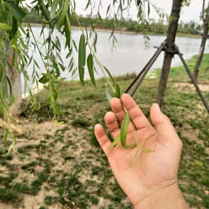 恨卟能遗忘（新蔡装修）