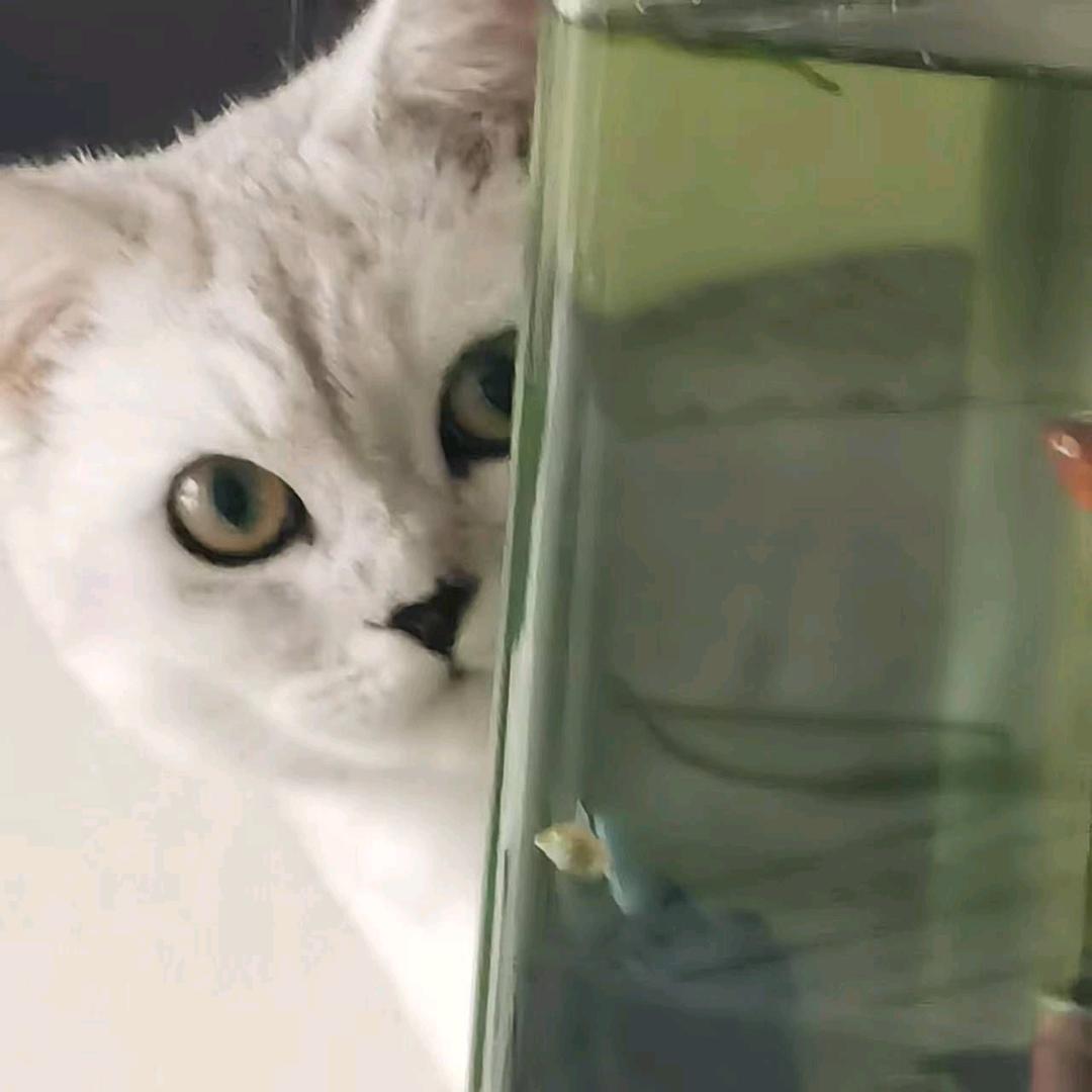 娜了个娜