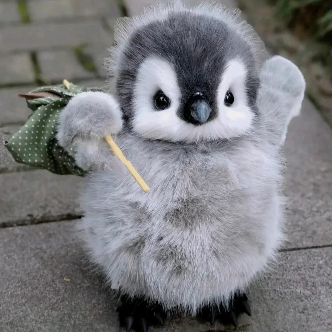 海不会不蓝
