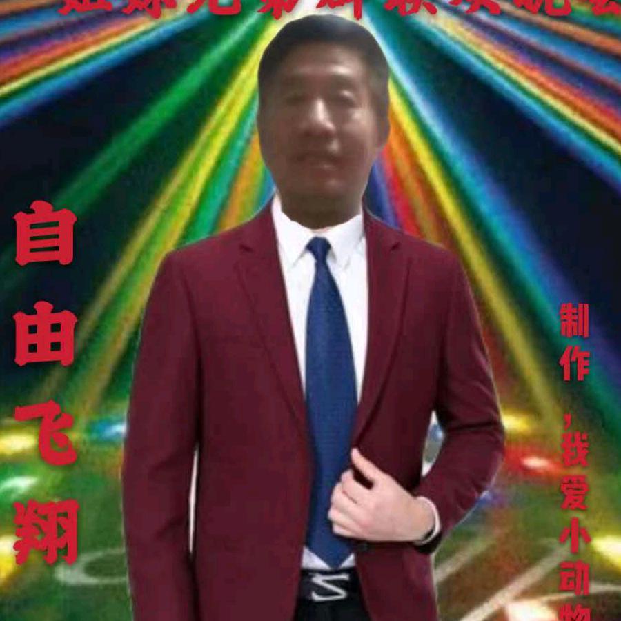 自由飞翔
