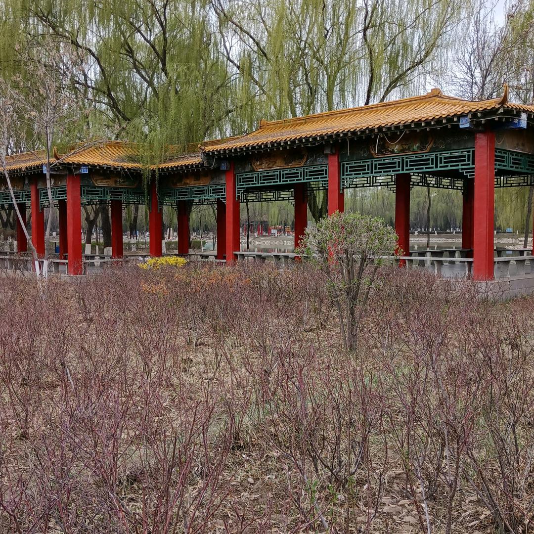 农村人