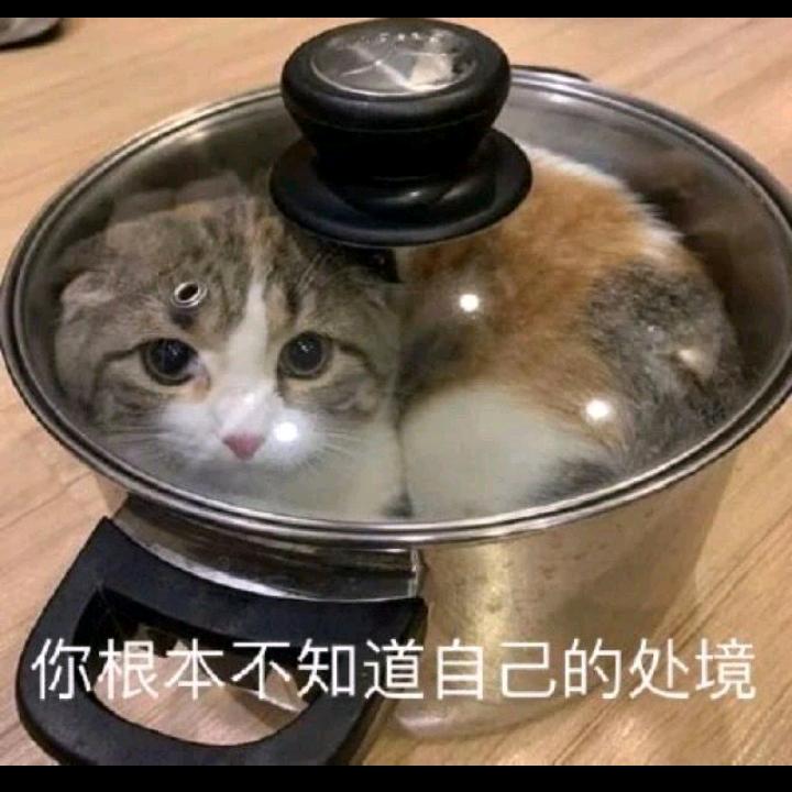 孙嗷呜