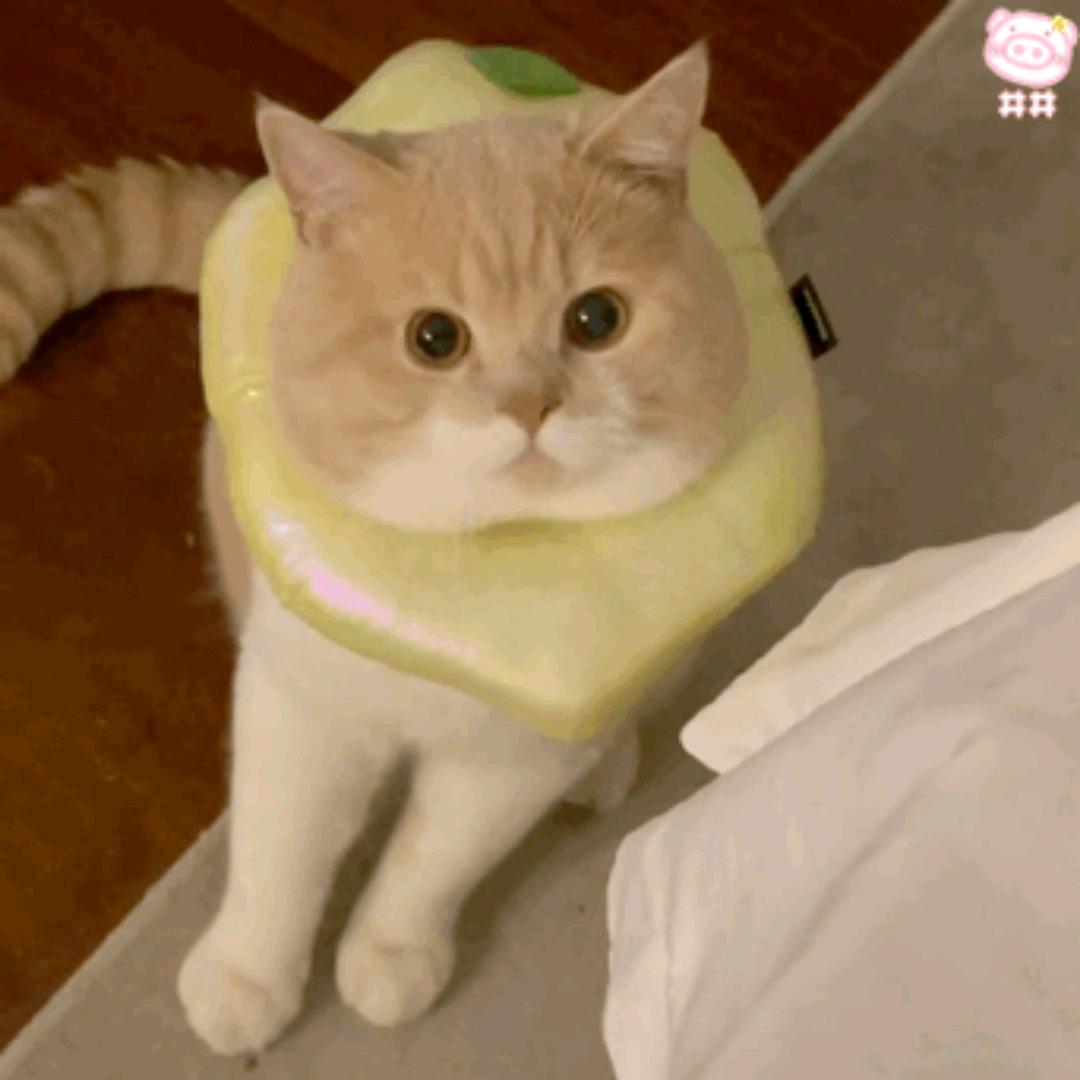 睡梦修仙