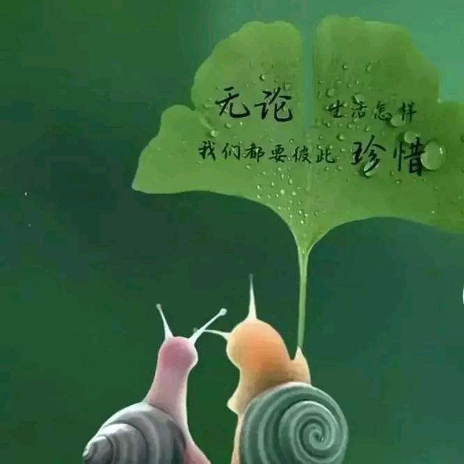 清风可相许