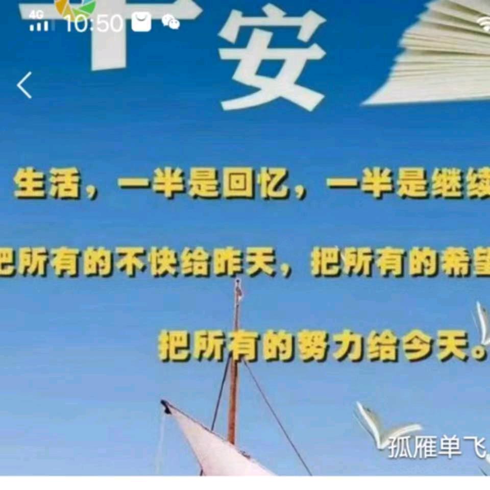 孤雁单飞
