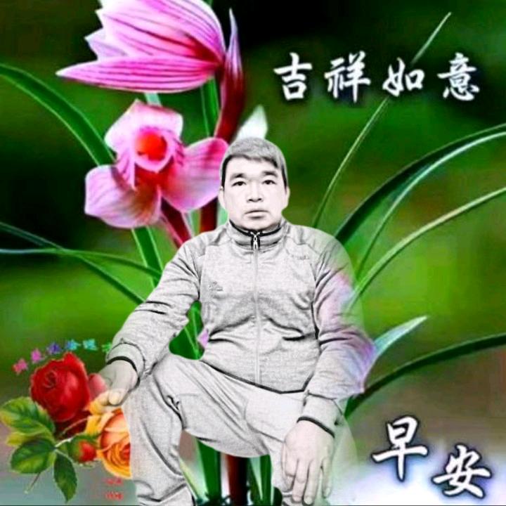 单身的心情