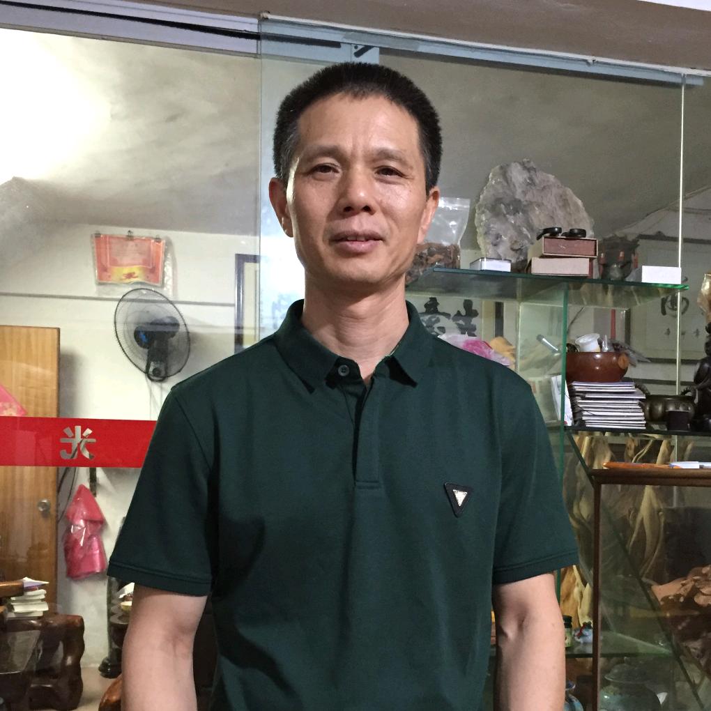 龙树